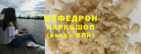сатива Беломорск