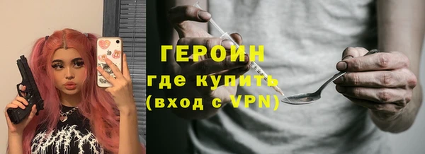 сатива Беломорск