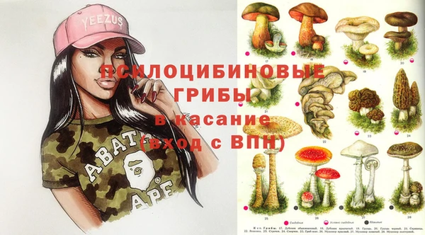 сатива Беломорск