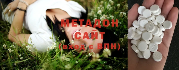 сатива Беломорск