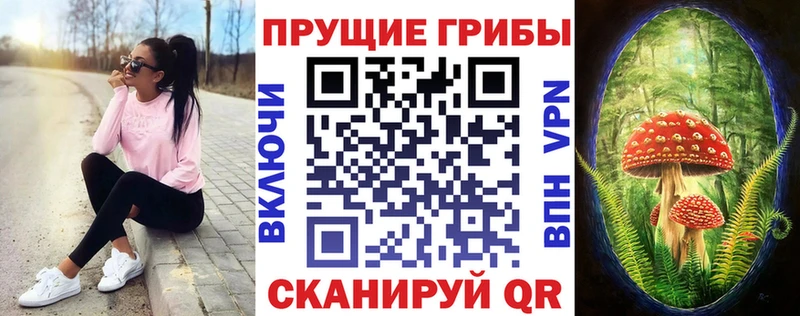 Псилоцибиновые грибы GOLDEN TEACHER  купить  сайты  Кизел 