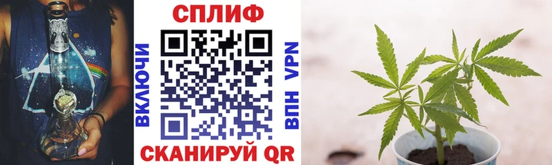 OMG   Кизел  МАРИХУАНА гибрид 